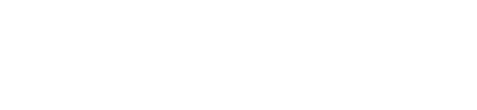 Undangan Pernikahan Digital